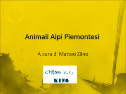 Animali Alpi Piemontesi