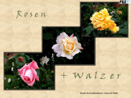 Rosen + Valzer