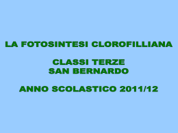 La fotosintesi clorofilliana