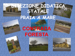 Via della foresta - Direzione Didattica Praia a Mare