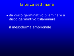 terza settimana