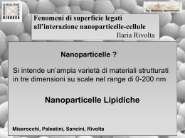 Fenomeni di superficie legati all`interazione nanoparticelle
