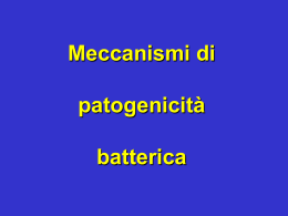 Meccanismi di patogenicità batterica