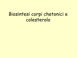 Biosintesi corpi chetonici e colesterolo