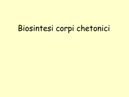 Biosintesi corpi chetonici