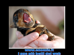 Nessun titolo diapositiva