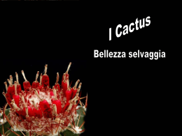 Pr&eacute;sentation PowerPoint