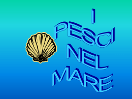 Presentazione di PowerPoint