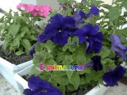 E` primavera - Partecipiamo.it