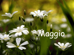 Maggio - Partecipiamo.it