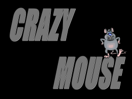 Crazy Mouse