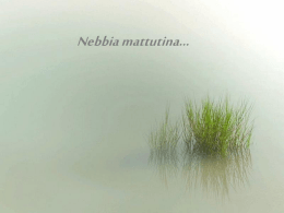 Nebbia