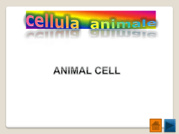 La cellula