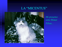LA &ldquo;MICENTUS&rdquo;