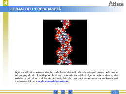 Le basi molecolari dell`ereditarieta&brvbar;&Ccedil;