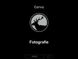 Foto Cervo