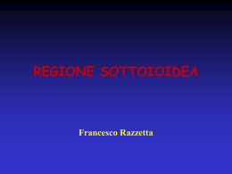 Regione sottoioidea