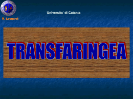 Transfaringea