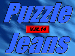 Puzzle Jeans