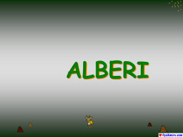 alberi-magnifici