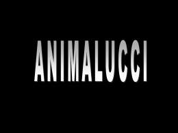 1. dia - Lo scrigno dei tesori