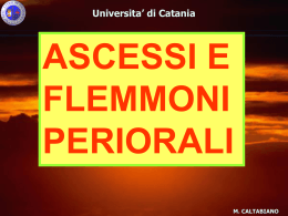 Universita` di Catania M. CALTABIANO ASCESSI E