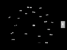 turnonthelight