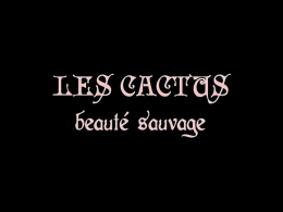 Cactus 1 - Partecipiamo