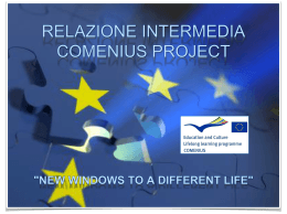 Relazione progetto Comenius - Istituto Comprensivo Lodi Terzo
