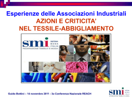 G. Bottini - Le esperienze delle associazioni industriali: il