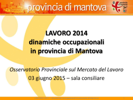 Sintesi Report lavoro 2014