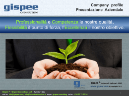 Gispee consulting