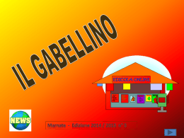 GABELLINO N°5