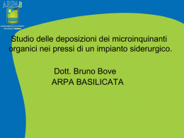 Studio delle deposizioni dei microinquinanti