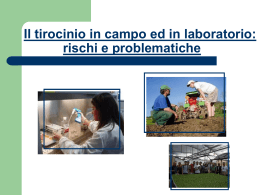 Il tirocinio: valutazione dei rischi - Laboratorio di