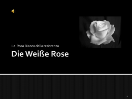 Die Weiße Rose - Blog del prof. Andrea Venturini