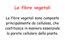 Le fibre vegetali ( Francesca)