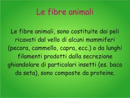 Le fibre animali ( Francesca)