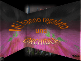 Mi hanno regalato un` orchidea - Cassano