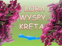 FLORA WYSPY KRETA. - Cassano