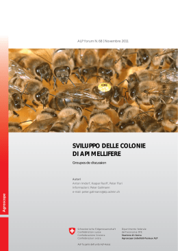 SVILUPPO DELLE COLONIE DI API MELLIFERE