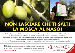 depliant - Casotti.it