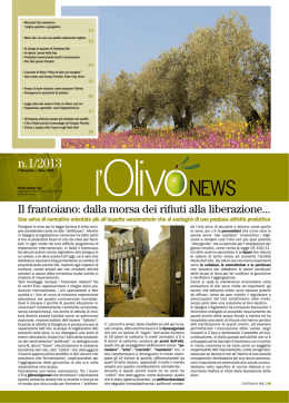 l`Olivo News n.1 Pieralisi Marzo 2013