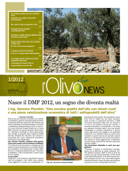 L`Olivo News - la rivista trimestrale sul mondo dell