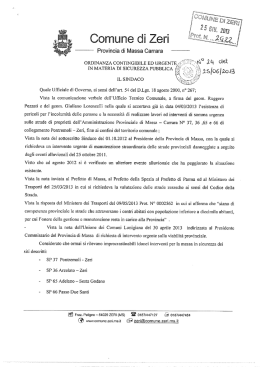 Ordinanza 24 del 25 - 06 -2013