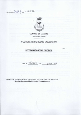 DET.N° 02028 DEL nsnm.zms
