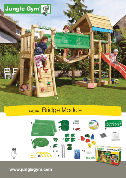 Bridge Module