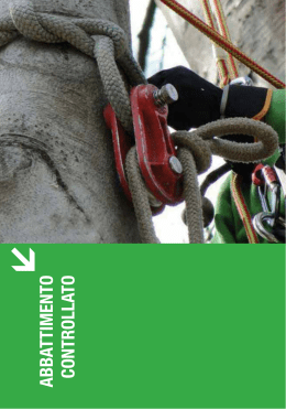 Abbattimento Controllato 2015 - Negozio attrezzature Tree Climbing