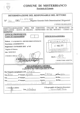 dd 811 13 - Comune di Misterbianco