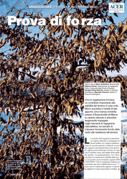 Prova di forza - Il Verde Editoriale